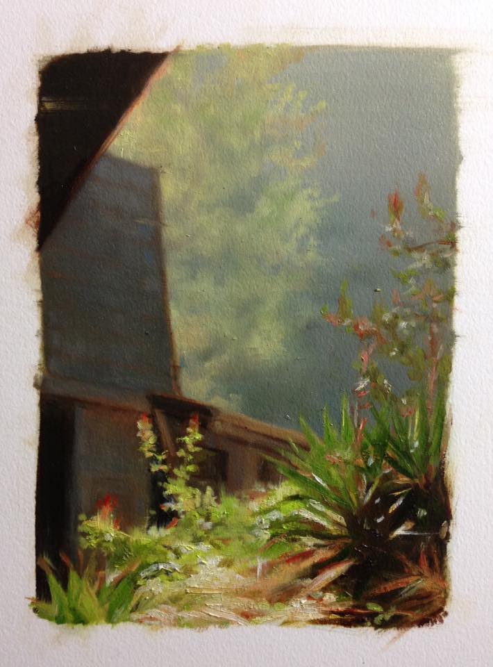 Plein Air oil painting, Plants in sunlight traditional media artwork by Ifat Glassman